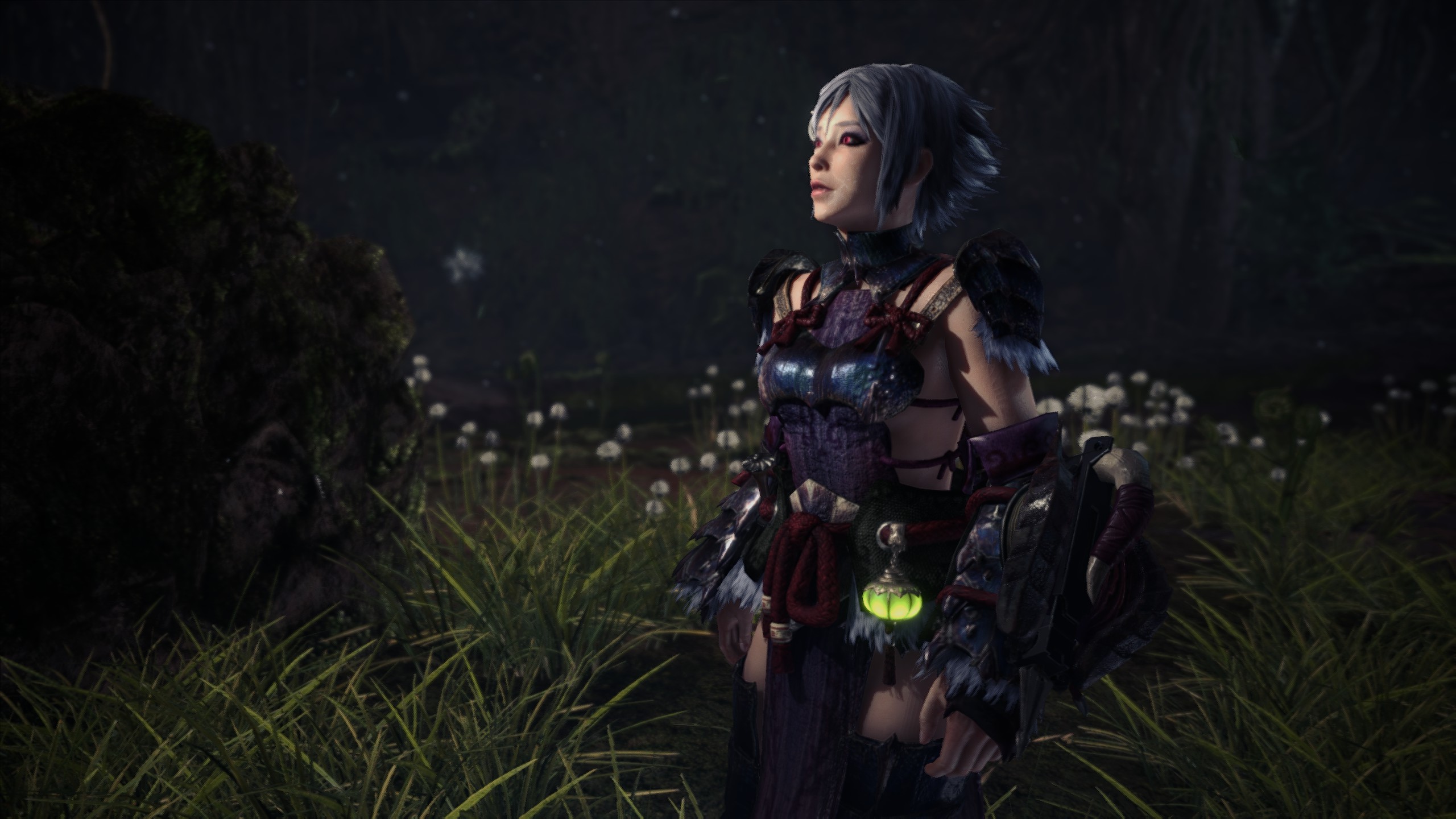 《怪物獵人世界：冰原》輕薄性感黑狼鳥服飾MOD
