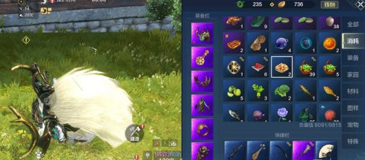 《妄想山?！烽L(zhǎng)生油果具體位置