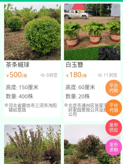 苗木人