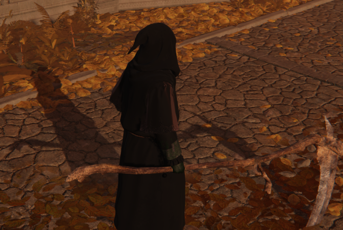《艾爾登法環》黑暗觀星者長袍MOD