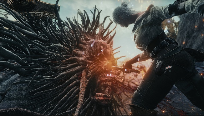 《艾爾登法環(huán)》巫師3希里外觀MOD