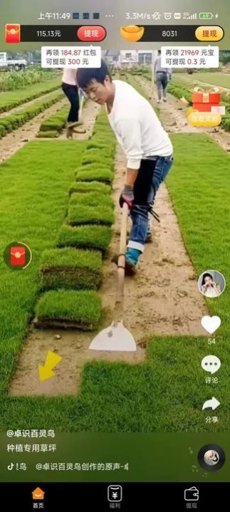 喜多寶
