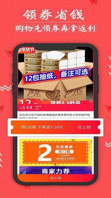 灰豬特價 灰豬特價