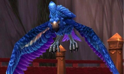《魔獸世界》寵物花羽鸚鵡獲取攻略