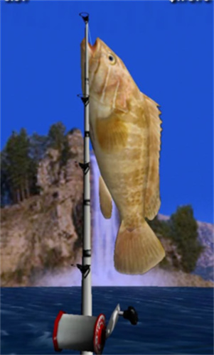 釣大魚