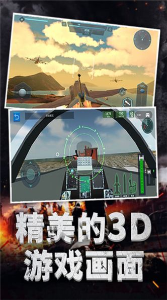 極限飛機駕駛
