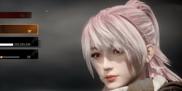 《臥龍：蒼天隕落》捏臉代碼合集