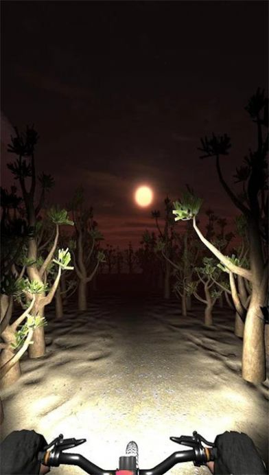 夜騎模擬器最新版