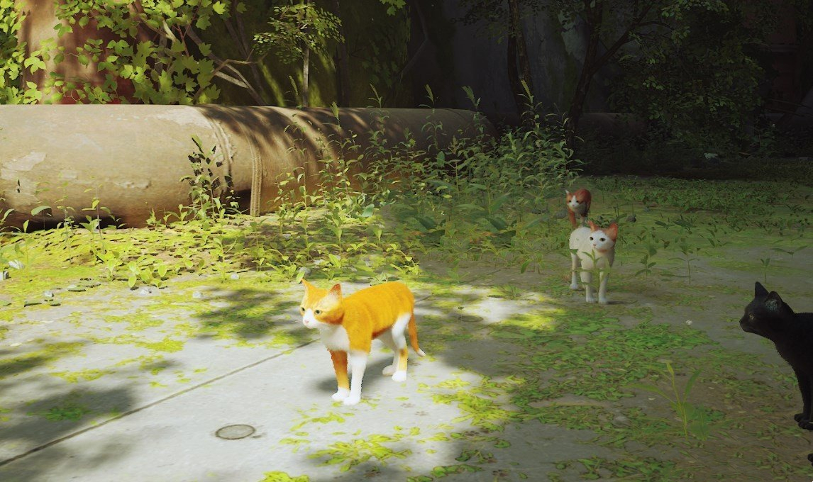 《Stray》橘白貓MOD