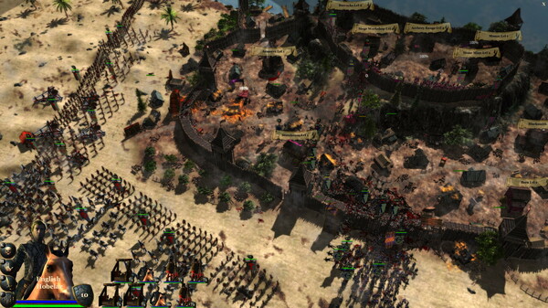 國王的競選活動