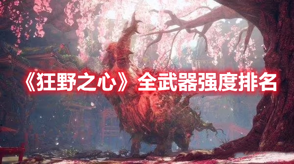 《狂野之心》全武器強度排名