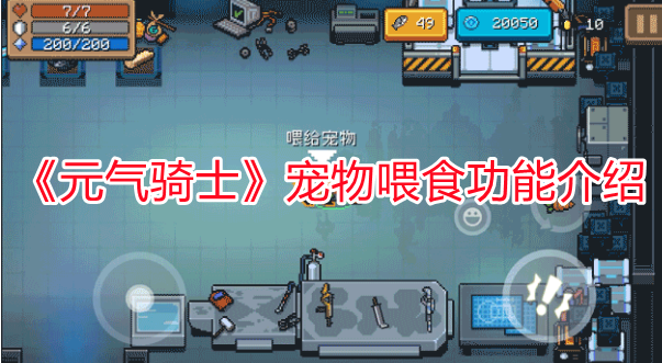 《元氣騎士》寵物喂食功能介紹