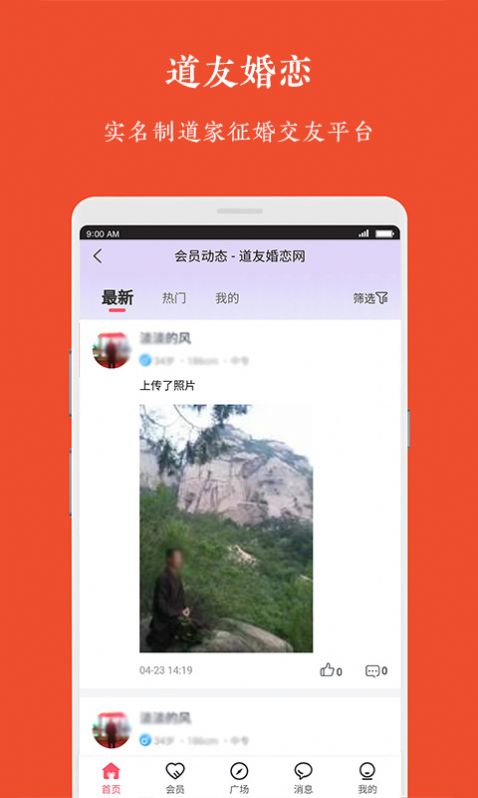 道友婚戀