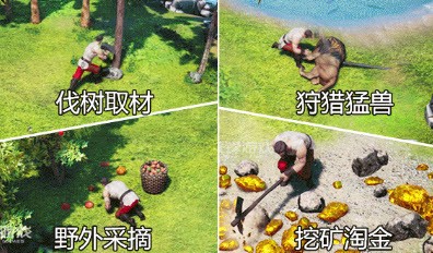 帝國(guó)戰(zhàn)紀(jì)之帝國(guó)征服者