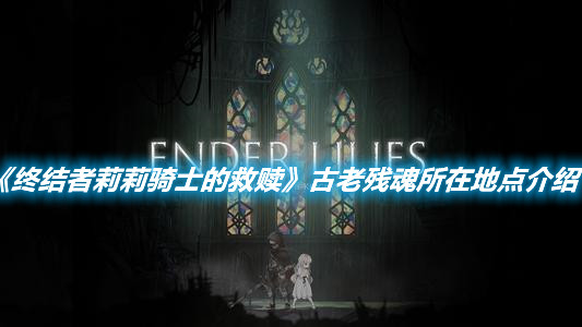 《終結(jié)者莉莉騎士的救贖》古老殘魂所在地點(diǎn)介紹