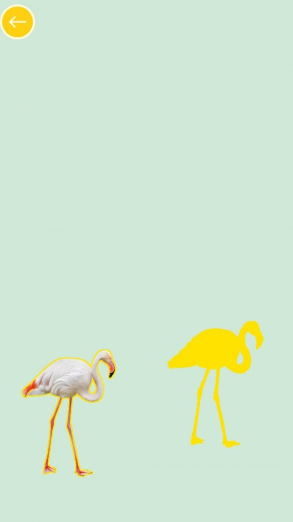 兒童學(xué)動物和顏色