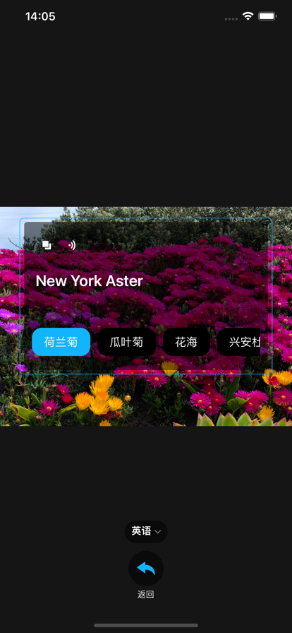 隨身翻譯器