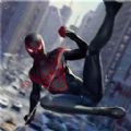 蜘蛛俠盜都市