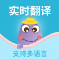 掌上實(shí)時翻譯