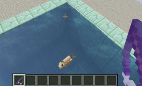 《我的世界》1.16.5真·釣魚MOD