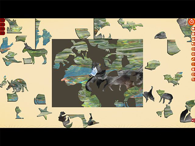 益智假期：澳大利亞和新西蘭