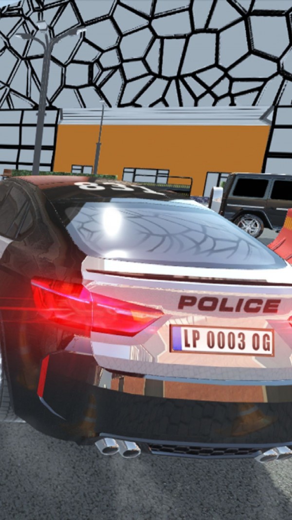 真實(shí)停車2021
