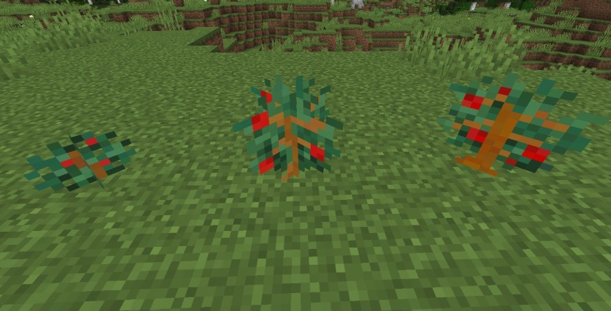 《我的世界》1.16.5咖啡種植MOD