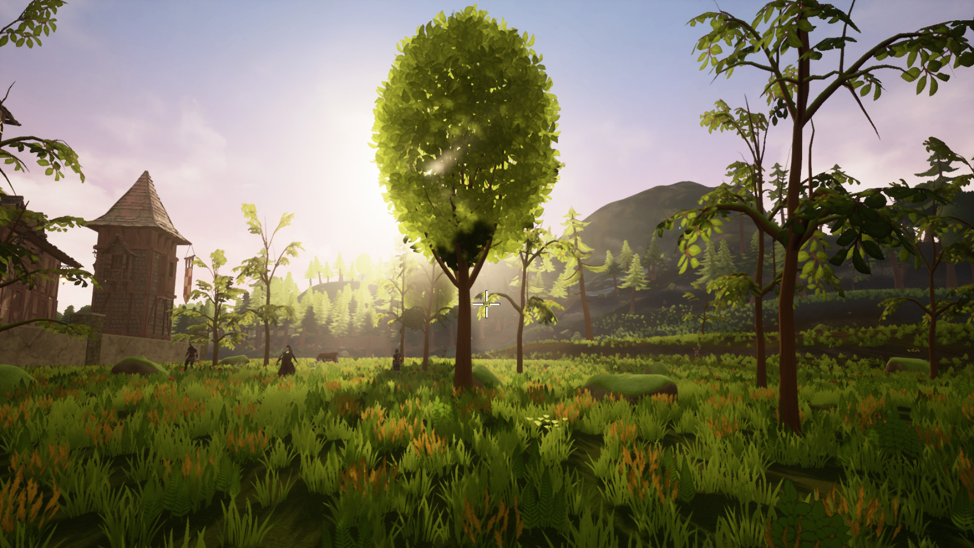 阿坎特：決定版