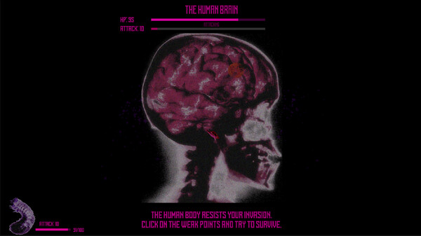 我的適應：人類