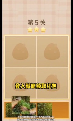 夢幻彩拼
