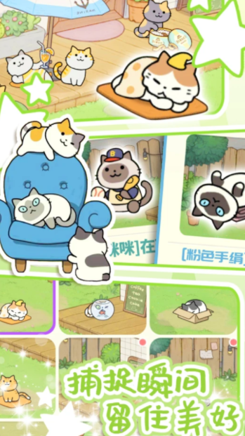 地鐵遇見貓