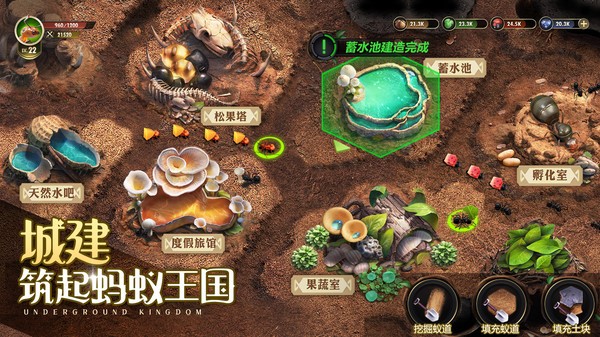 小小蟻世界
