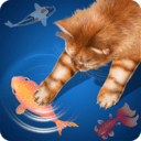貓咪想捉魚