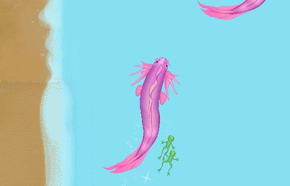 《召喚神龍》完美通關攻略分享