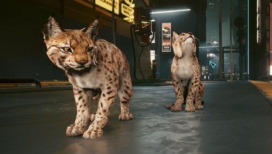 《賽博朋克2077》猞猁寵物MOD