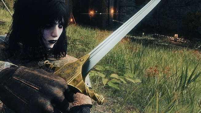 《艾爾登法環》鳶尾劍替換闊劍MOD
