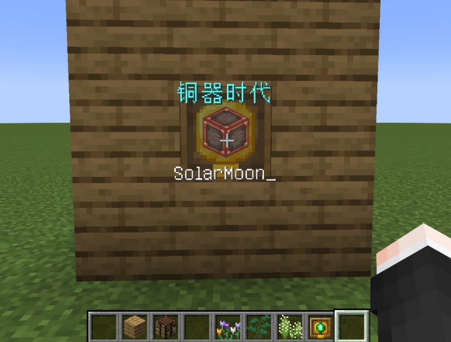 《我的世界》1.16.5進度展示框MOD