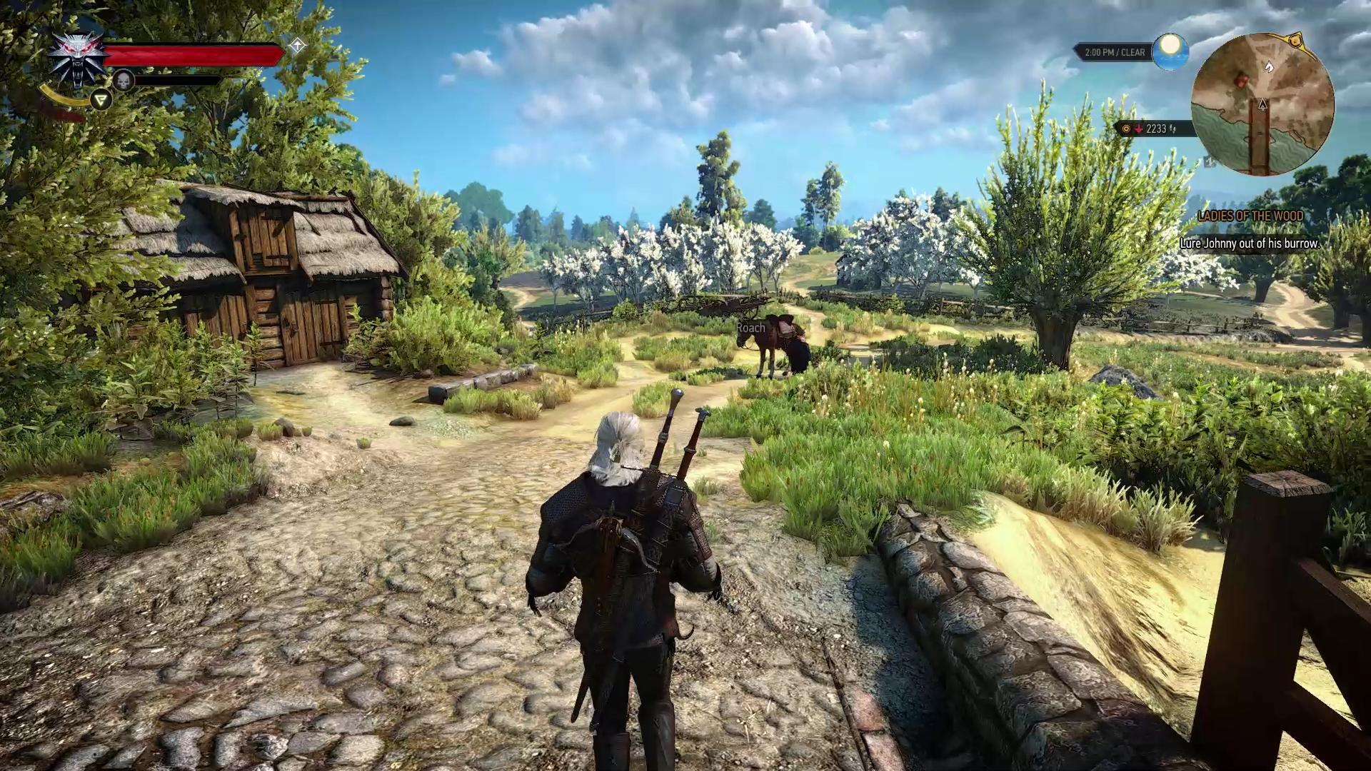 《巫師3：狂獵》進階沖刺MOD
