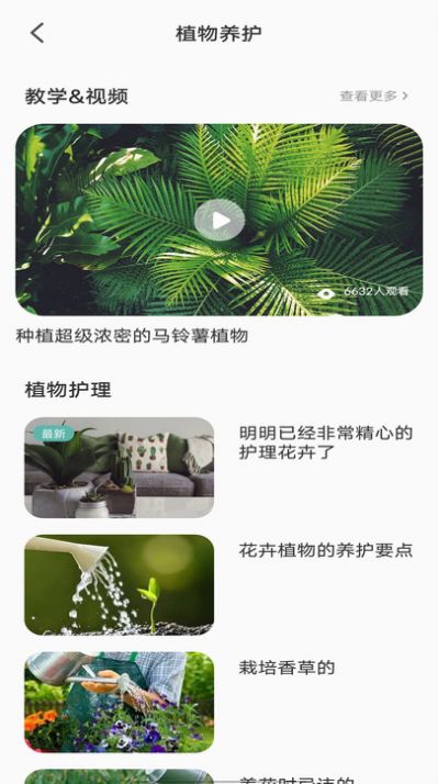 拍照識別植物弛意版