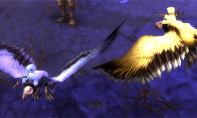 《魔獸世界》寵物金/藍色小矛騎兵獲取攻略