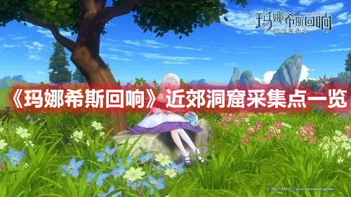 《瑪娜希斯回響》近郊洞窟采集點一覽