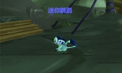 《魔獸世界》寵物迷你鸚鵡獲取攻略