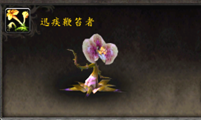 《魔獸世界》寵物迅疾鞭笞者獲取攻略