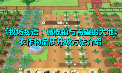 《牧場物語：橄欖鎮與希望的大地》農作物品質升級方法介紹