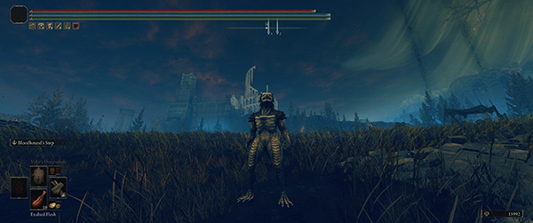 《艾爾登法環》黑暗之魂龍形態人物MOD