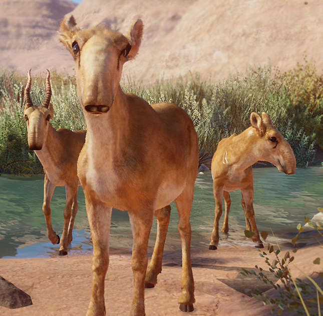 《動物園之星》增添高鼻羚羊作為新物種MOD