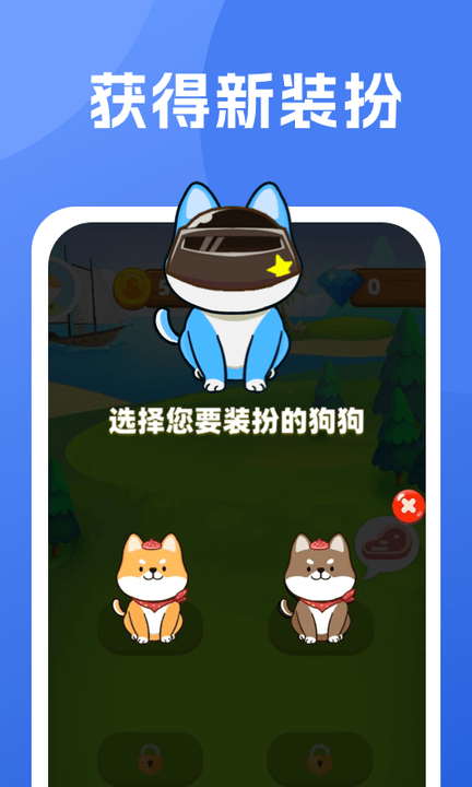 柴犬日記