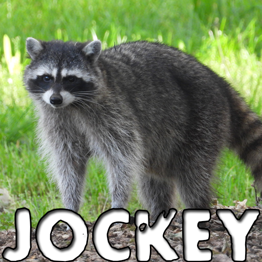 《求生之路2》Jockey小浣熊模型MOD