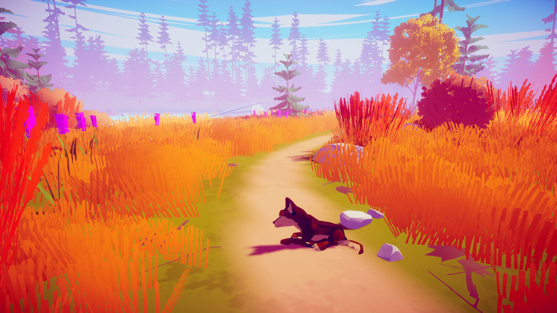 我的狼：桌面野生寵物