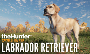 獵人：荒野的呼喚-拉布拉多尋回犬